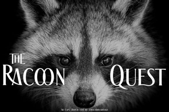 The Racoon Quest: A Bold Display Font for Assertive Design